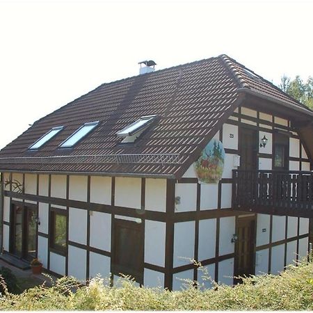 Apartment Edersee Fuer 4 Personen Frankenau Bagian luar foto